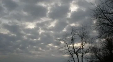 انخفاض كبير بالحراة.. طقس القاهرة يسجل 21 درجة خلال الساعات المقبلة